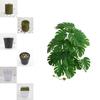 Realistic Green Plant 3d Print Ipomoea Batatas Leaf Indoor Decoration For Living Space