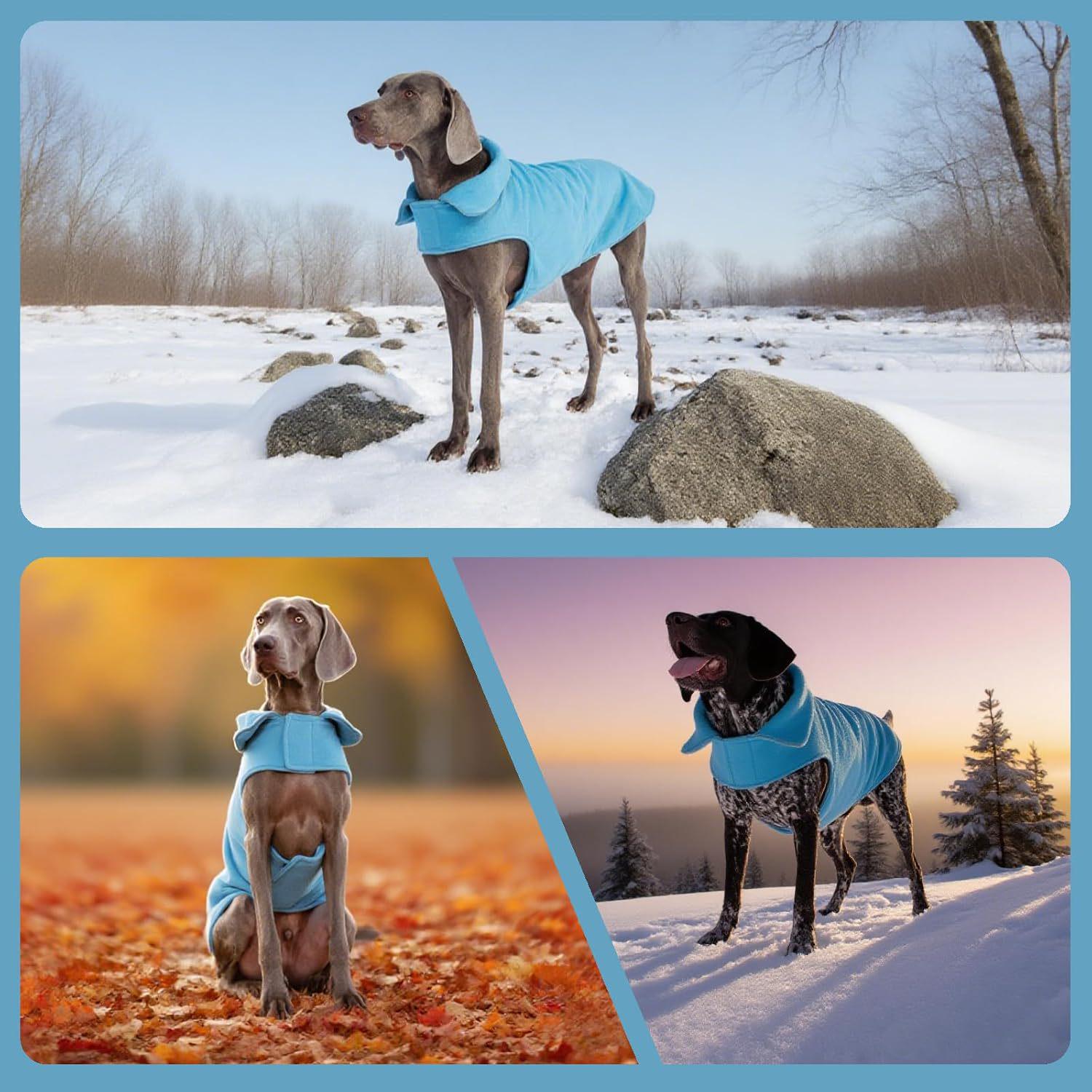 

Chongta Winter Fleece Hoodie for Large Dogs - Warm Pet Clothing for Labradors & Golden Retrievers XS зелёный
