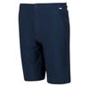 Regatta Highton Long Shorts