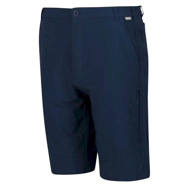 Regatta Highton Long Shorts