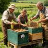 Porte d'entrée ronde en acier inoxydable pour ruche, disque d'entrée réglable, outil rotatif, équipement d'apiculture pour la gestion générale des ruches