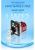 Zhuochao LW12-16/N22.2-72S2 Two-Position Rotary Switch with Indicator Light & Lock