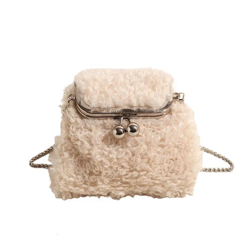 Niche Lamb Furry Bag Women's New Autumn and Winter Plush Texture Crossbody Bags Chain Bag Exquisite Small Furry Bag
