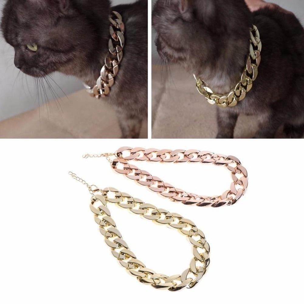 chain collar for cats