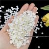 Half-Round Pearl ABS White Phone Case & Hair Accessory DIY Stickers