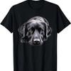 Black Labrador Dog Sleep, Black Lab Dog Owners Lover Funny T-Shirt