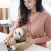 30/45/60CM Weighted Plush Animal Toy Stuffed Panda Dinosaur Sloth Koala Plushie Anxiety Relief Sleep Aid Soft Huggable Pillow