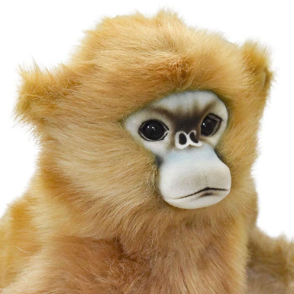 BH6766 HANSA Snub-nosed Monkey 47