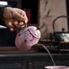 140ml Pink Teapot Embroidered Ceramic Teapot Chinese Household Tea Pot Small Capacity Kung Fu Tea Set Tea Ceremony Accessories