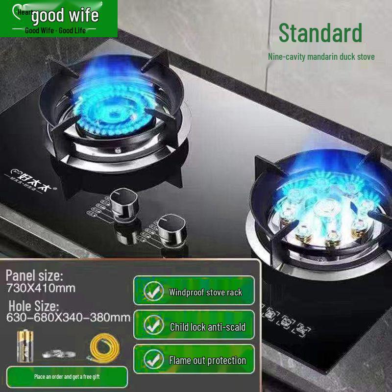 Good Wife Double Burner Gas Stove: Tabletop & Embedded, for Natural or Liquefied Petroleum Gas