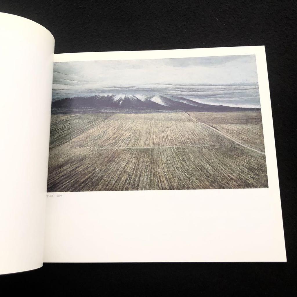 [USED] Catalog "Kyuichiro Aihara Exhibition: Early Spring - News from Furano" 1986, Nichido Gallery