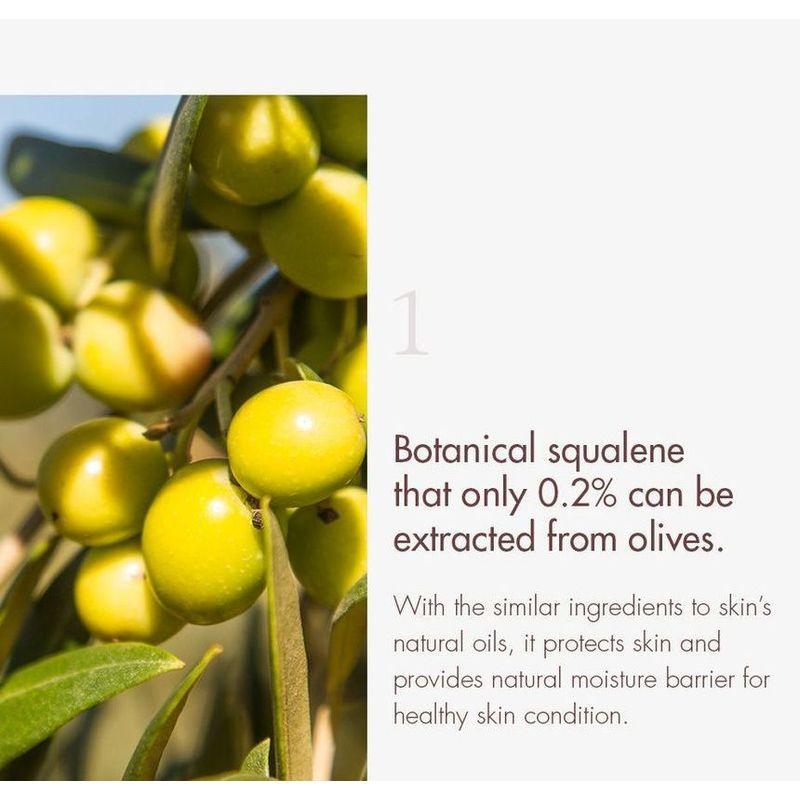 DR. Ceuracle - Veganer Kombucha Tee Lippenbalsam