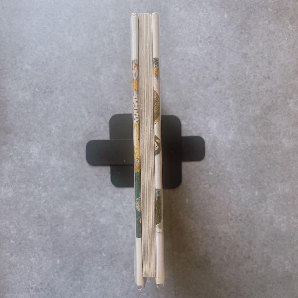 [USED] Portraits D'animaux Pierre Belves Books Animals Art