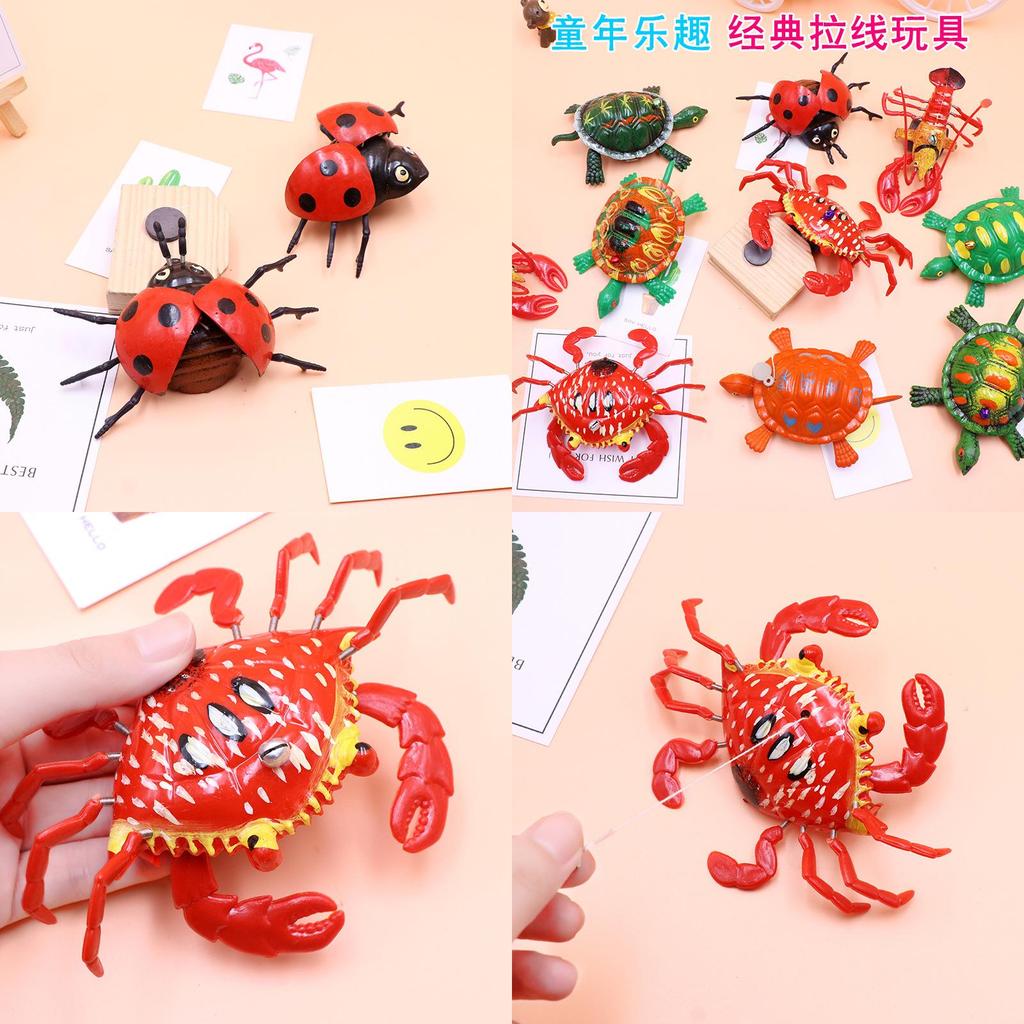 Pull String Tortoise Animal Toy For Kids Handeye Coordination And Parentchild Play