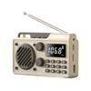 Pocket Radio Wireless BT Speaker Battery Operated Radio Support TF Card U Disk Earphone Sleep Timer for Indoor Outdoor Travel