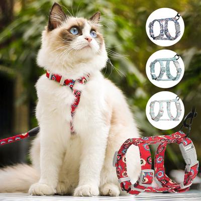 Köpek – Köpek Tasmaları ve Tasma Kayışları