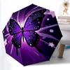 Accesorii – Umbrele