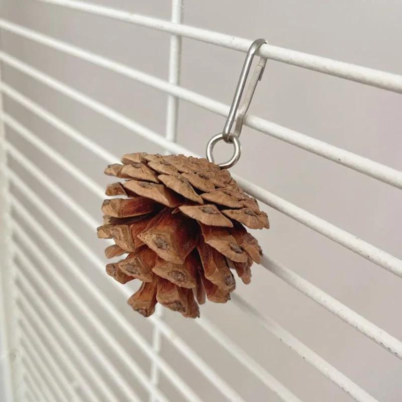Natural Wood Pine Cones Pet Parrot Toy Bird Biting Exercise Climbing Standing Wooden Toys Pet Parrot Macaw Hammock Bird Toy
