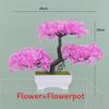 Plumosus Apargus Baker Plastic Faux Bonsai For Indoor Decoration Tabletop