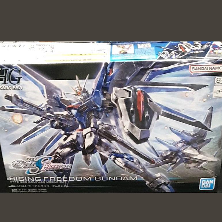 HG Rising Freedom Gundam One thing