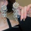 Silver Needle Diamond Flower Hollow Fringed Earrings Cold Wind Earrings Exaggerated Earrings