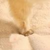 Windproof Pet Cozy Cave Semi-enclosed Cat Tunnel Nest Thickened Cat Pocket Type Nest  Indoor