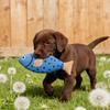 Plush Pet Chew Toy Squeaky Fish Interactive Cat Kicker Toy Soft Stuffed Animals Teething Toy for Indoor Dogs Cats And Kittens