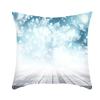 Ice and Snow Series Christmas Pillowcase, Blue Ice and Snow Ins Windblown Hair Pillowcase, American Cushion