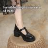 Thick-soled, Chunky-heeled British-style Retro Leather Shoes for Women, Loafers with Built-in Height-enhancing Shoes, High-heeled Mary Janes
