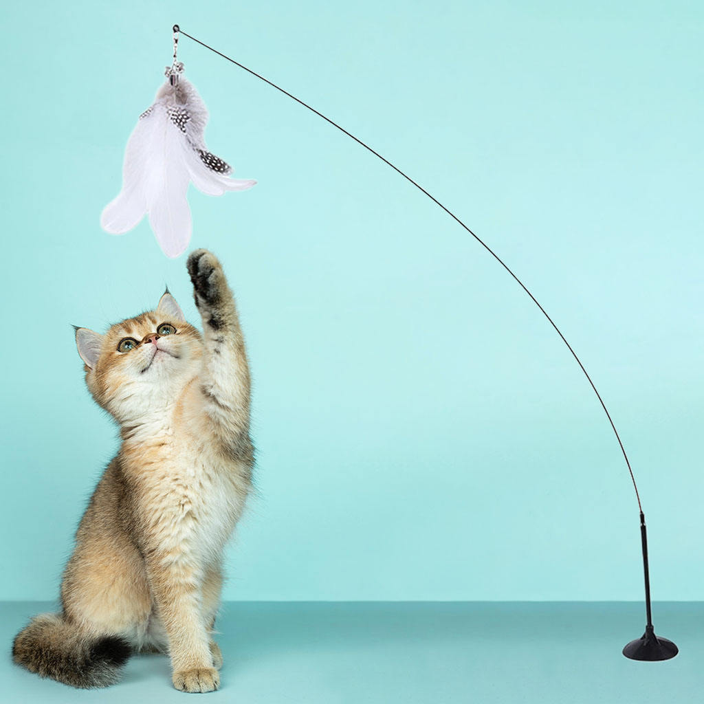 Simulation Bird Interactive Cat Toy Funny Feather Cat Stick with Bell Cat Playing Teaser Wand Toy for Kitten Cat Supplies