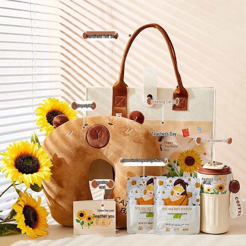 A1 Teacher s Day Comfort & Travel Gift Set 013
