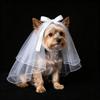 Voal Panglică Pisică Neagră Costum Mireasă Cățel Alb Accesorii Păr Câine Produse Animale de Companie