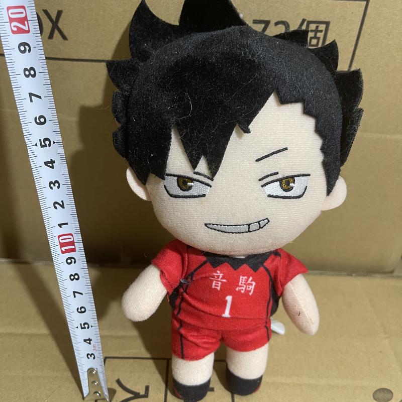 Anime Sans Étiquette Haikyuu Hinata Shoyo Daichi Sawamura Doujin Peluche Jouet en Peluche 20Cm Poupée Personnage Garçon Décoration de Lit Collection