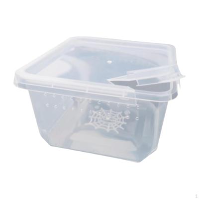 Reptile Feeding Box Hatching Case Carrier Rectangle Terrarium Animal Habitat Cage for