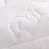 Conch Warm Polyester Fiber Duvet Insert