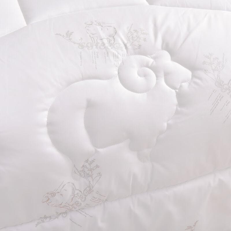 Conch Warm Polyester Fiber Duvet Insert