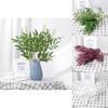 Indoor Wedding Decor Artificial Willow Leaves For Home And Party Use