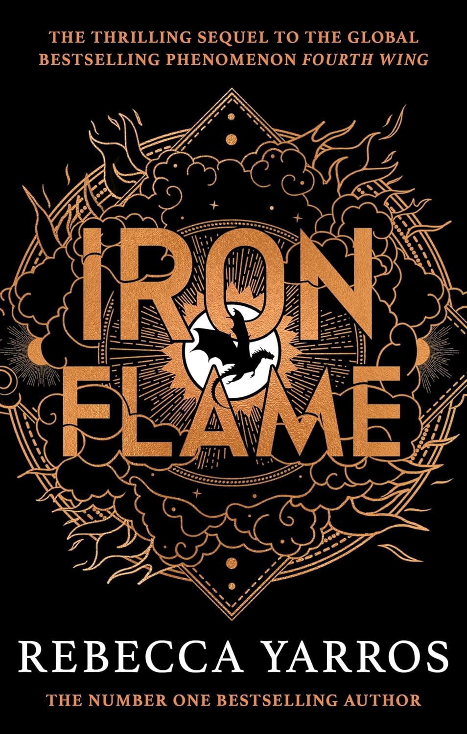 Eiserne Flamme. 2024 Taschenbuch