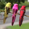Artificial Bird Three-dimensional Eyes Long Tail Realistic Colorful Fake Animal Bird Garden Prop Decoration for Home