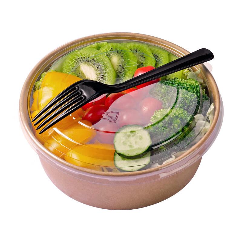 Disposable Paper Pulp Salad & Takeaway Boxes with PET Lids