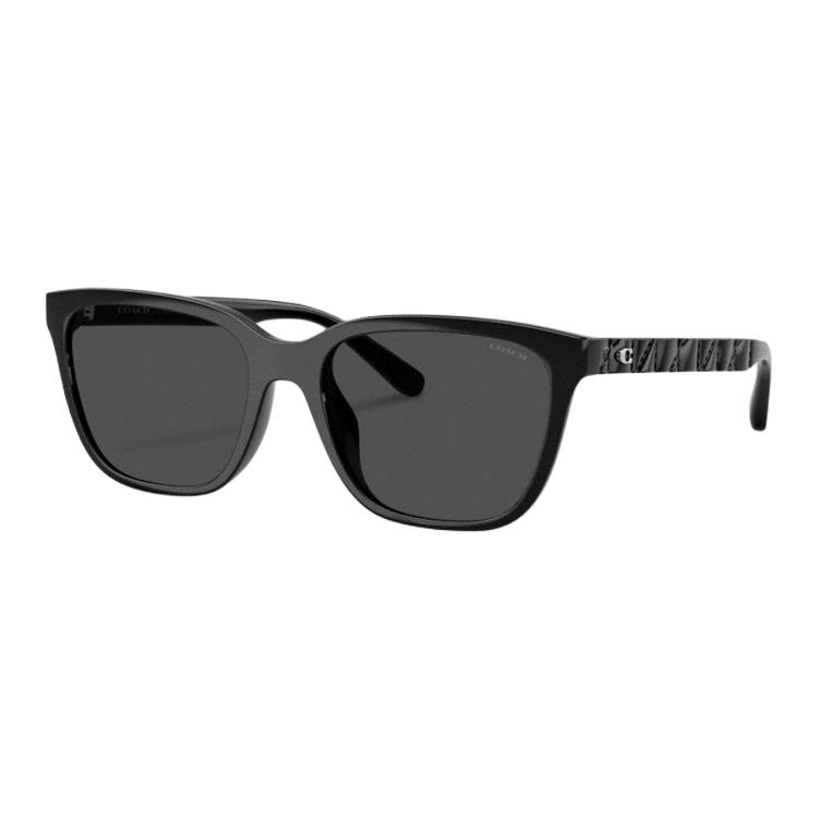Coach Original Logo Irregular Shape Sunglasses Unisex sunglasses Black CAE86-BLK F,Black