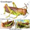 Oenux Insect Animal Wild Reptile Model Soft TPR Mantis Lizard Chameleon Housefly Gekko Action Figures Halloween Trick Kid Toy