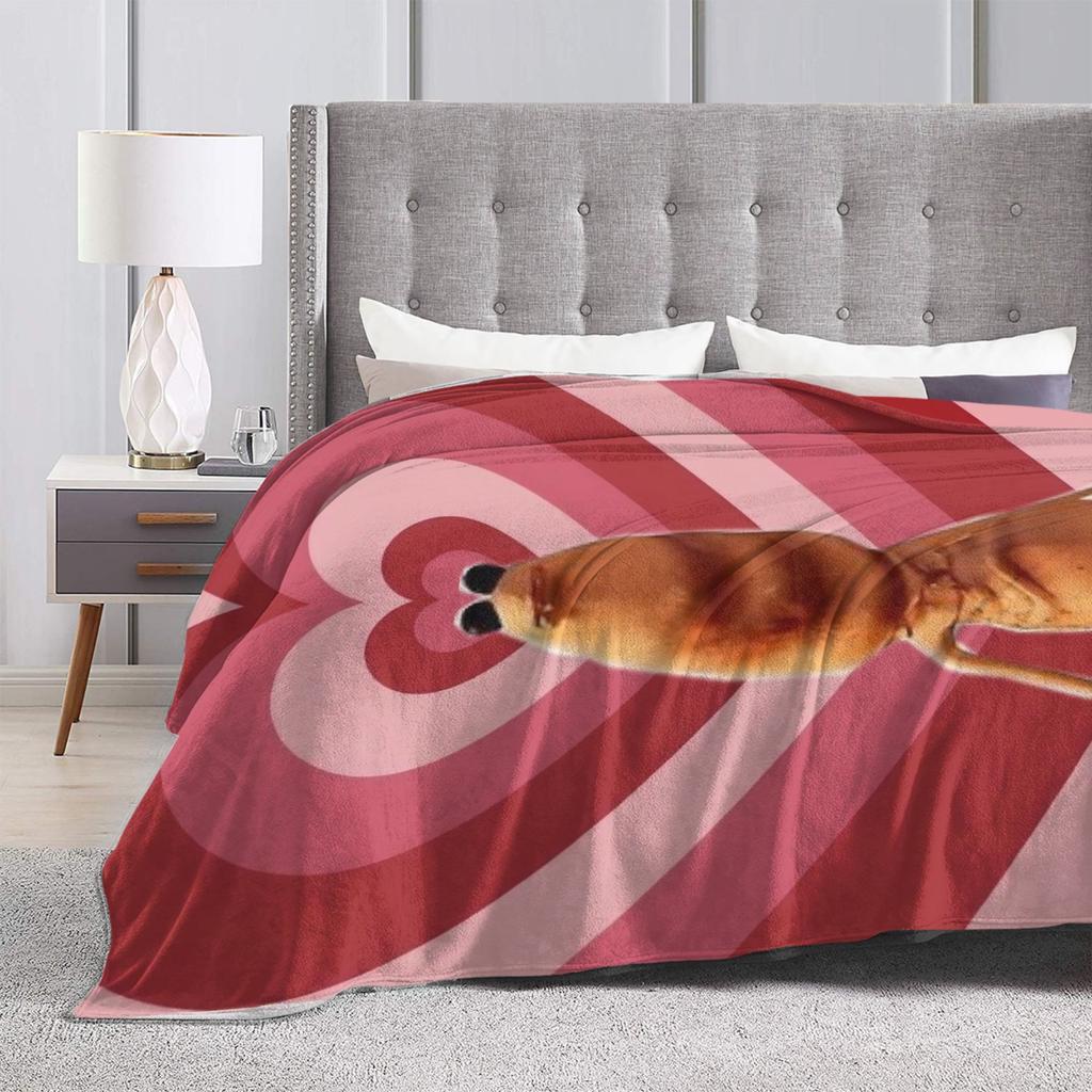 Y2K Funny Robert Help Marcus The Worm Blankets Super Soft Graphic Plush Throw Blanket For Couch Bed Camping Bedspread Bed Cover