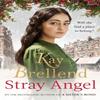 Stray Angel an Absolutely Heartrending Christmas Saga by Kay... 9780349425160