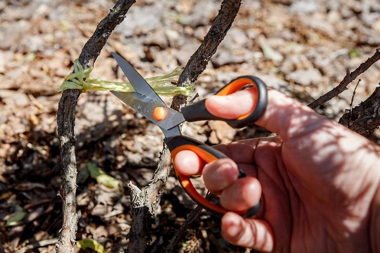 SCISSORS 215MM, - T N64-005