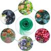 Garden Bird Netting Anti-Bird Protection Mesh Net for Plants, Fruit Trees & Vegetables, Multiple Sizes 2x2m 2x5m 4x4m 4x5m