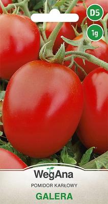 Tomato Galera 1g Tomato Seeds -