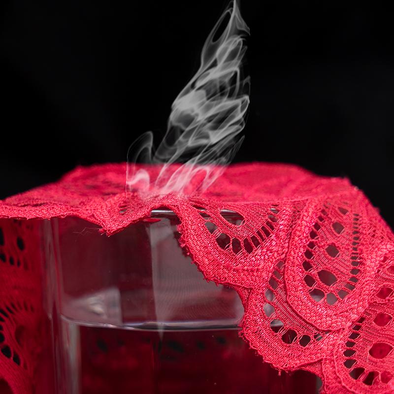 Women's Underwear Lace Sexy Panties Female Underpants Solid Color Transparent Panty Intimates Low-Rise Women Lingerie