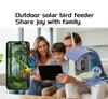 Smart Solar Bird Feeder Camera with Custom Hummingbird Feeder