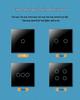 Zhengshang C3 Graffiti Smart WiFi Switch Voice Panel, Tuya EU Standard, Alexa & Google Assistant Compatible